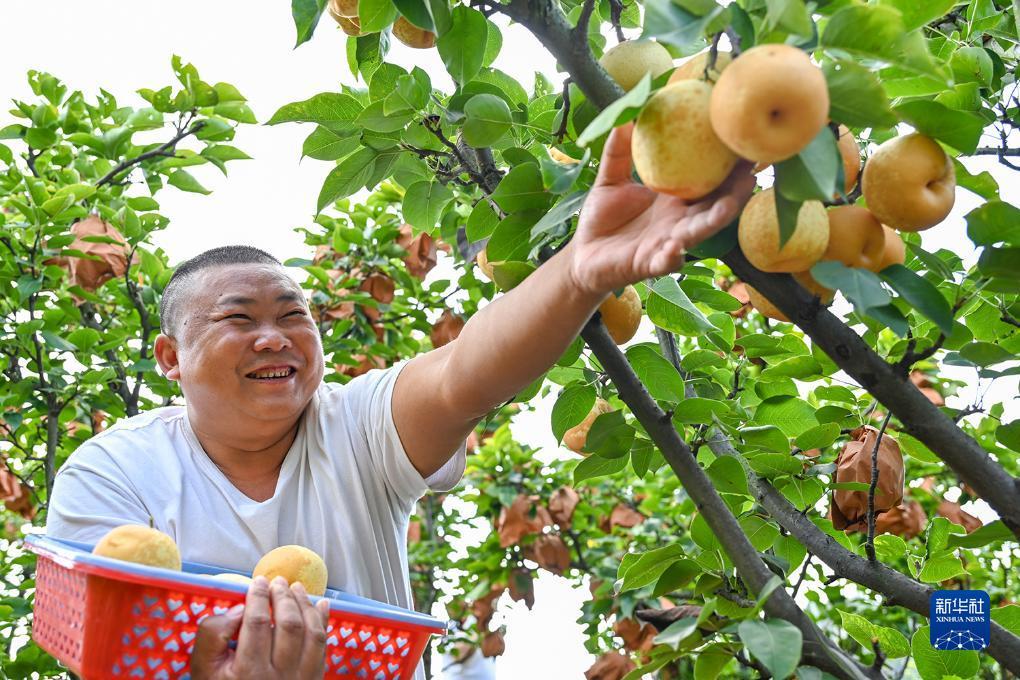 万利现金网大全